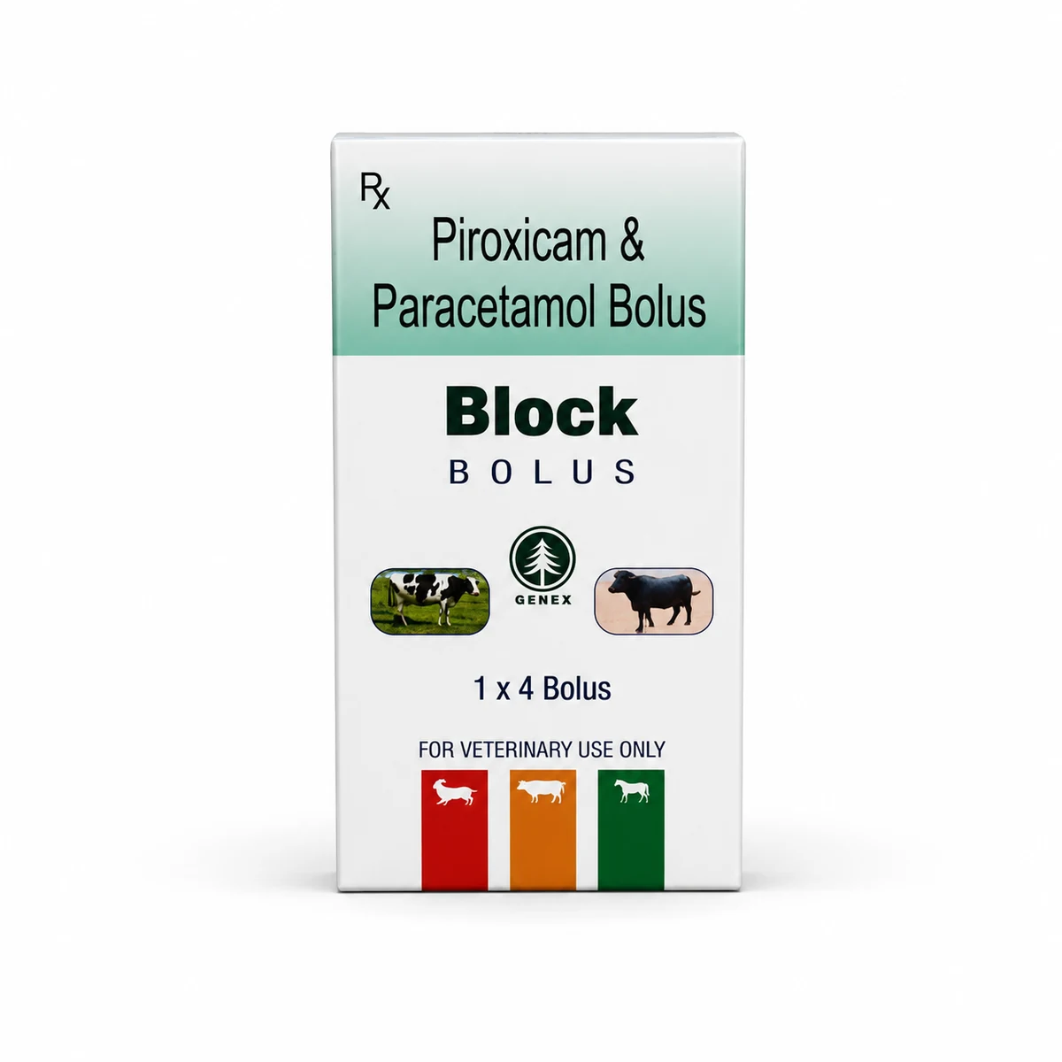 BLOCK Bolus