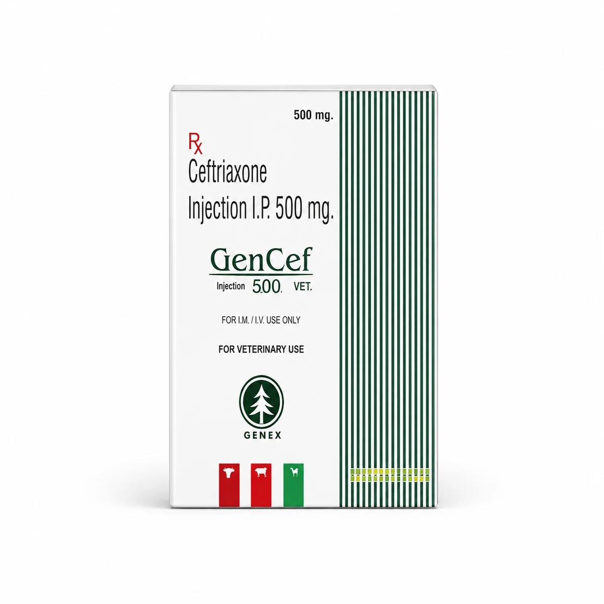 GENCEF Injection