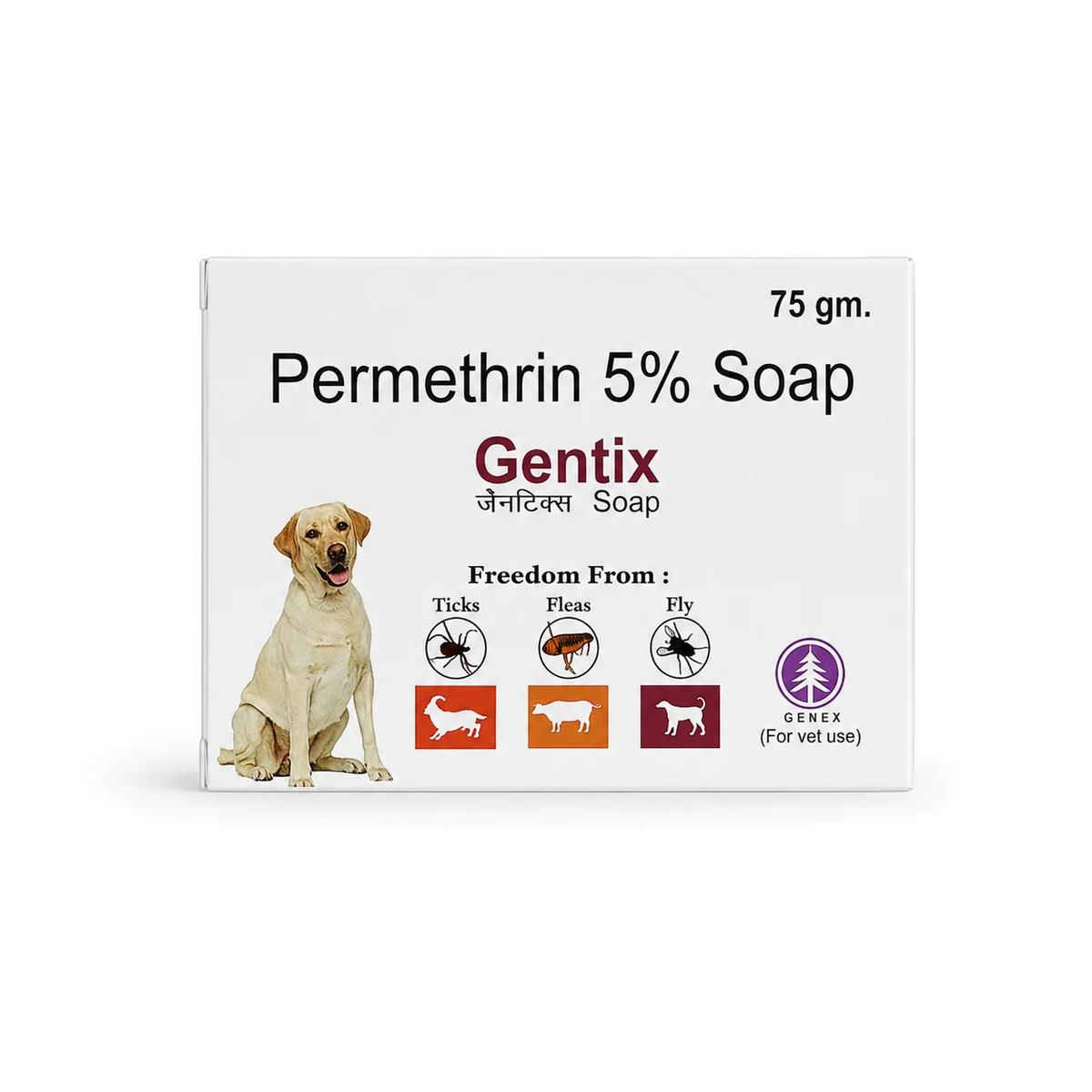 GENTIX Soap
