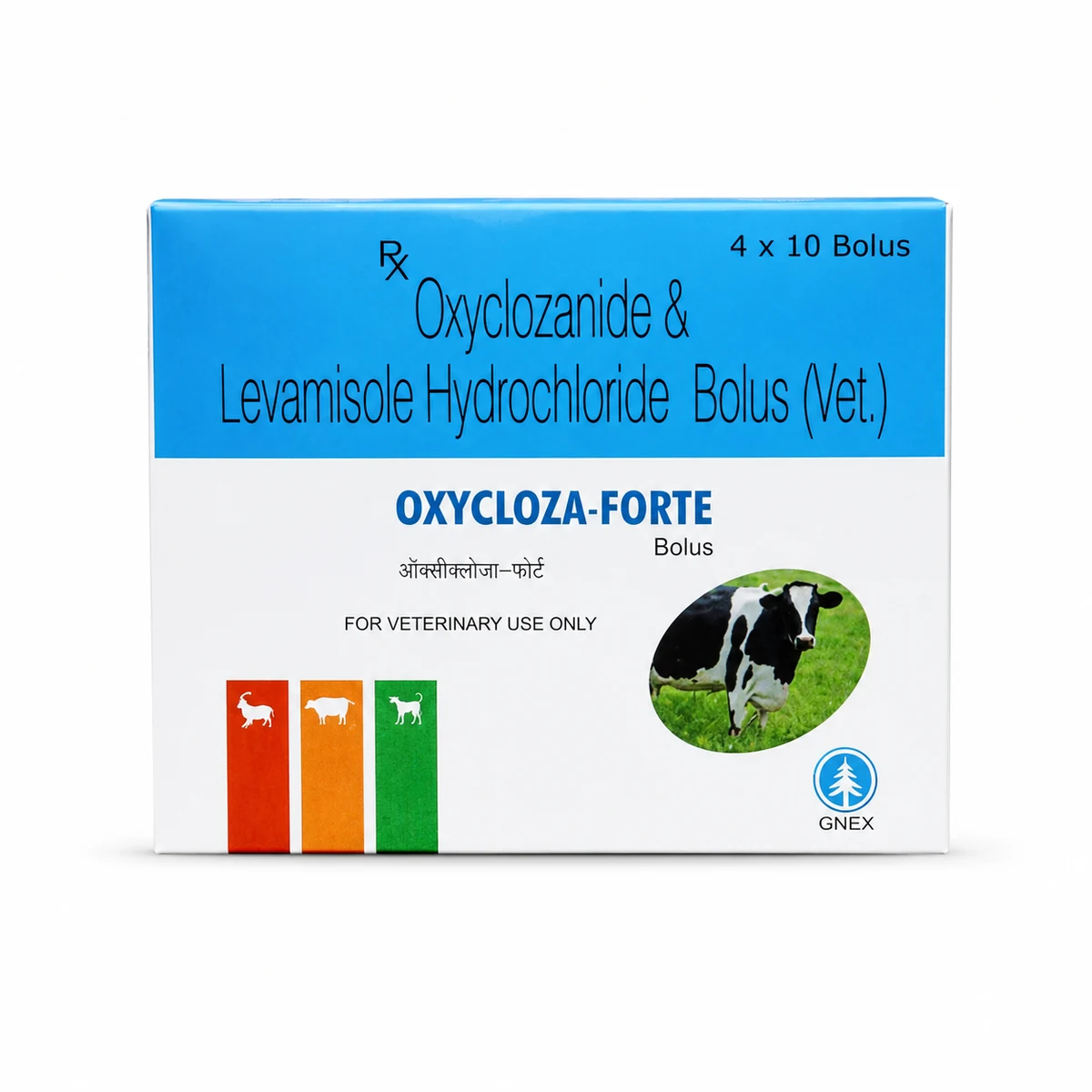 OXYCLOZA FORTE Tablet & Bolus